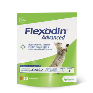 Flexadin advanced kissoille 60 purutabl