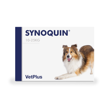 Synoquin EFA Medium tabl 30 kpl